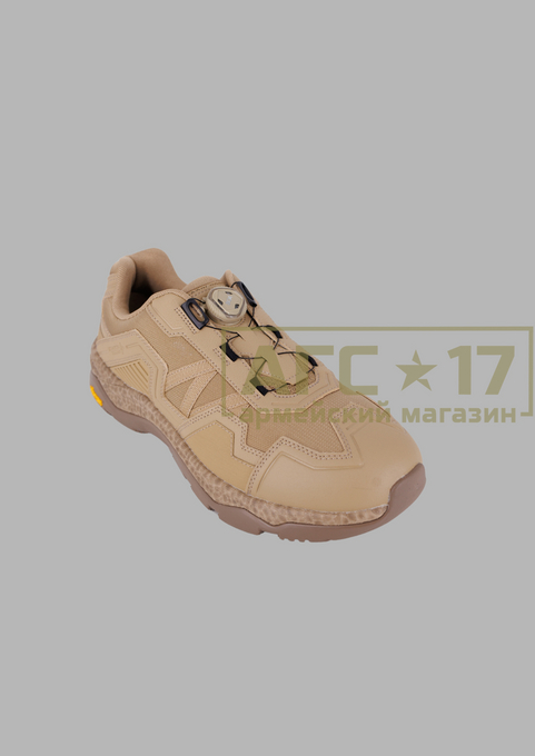 Изображение Кроссовки Dragon Tooth LF 